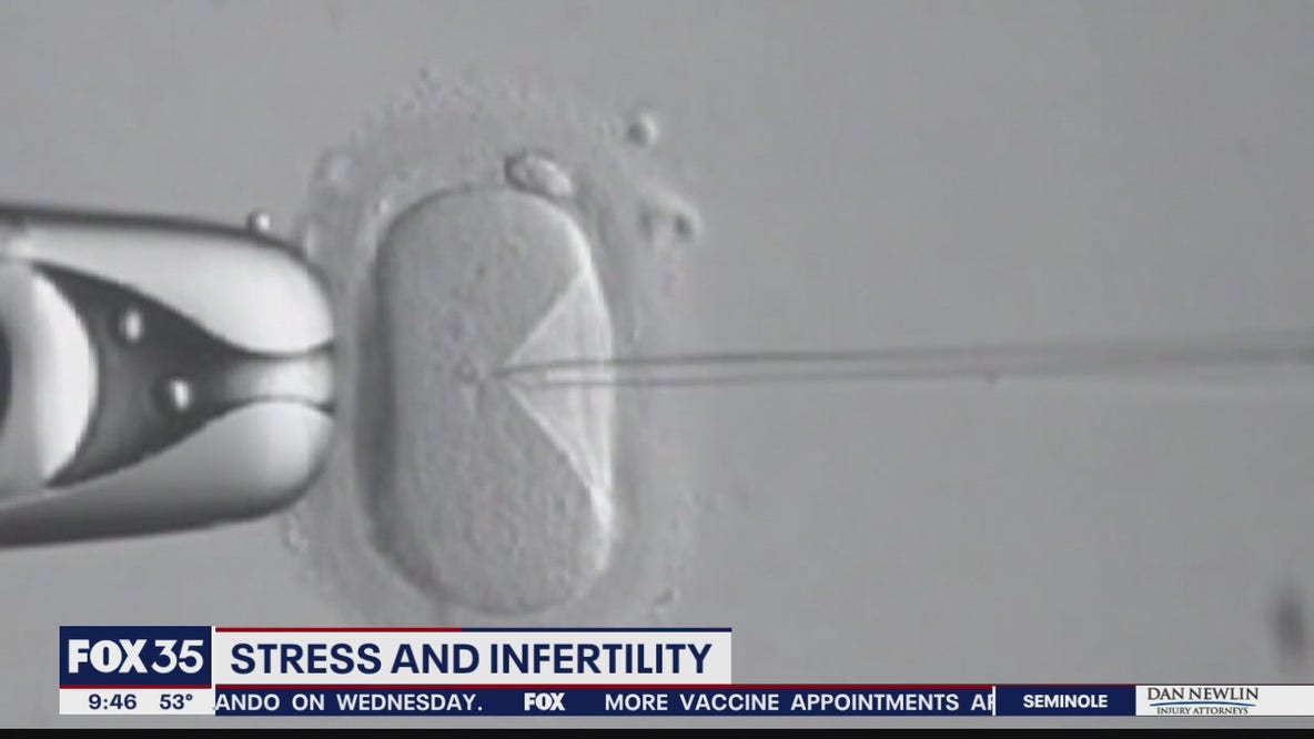 New studies look at infertility and stress during the pandemic